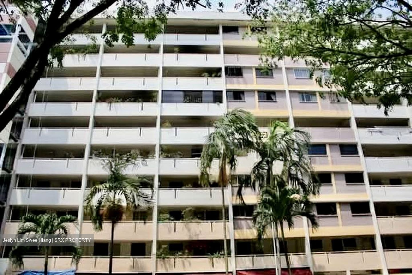 Blk 202 Ang Mo Kio View (Ang Mo Kio), HDB 4 Rooms #576730891